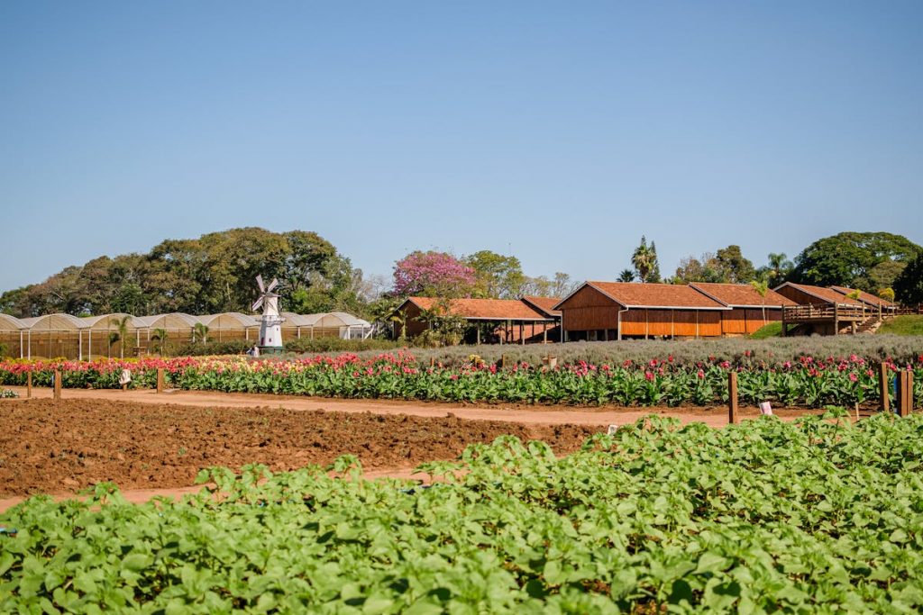 Best Practices in Modern Agriculture