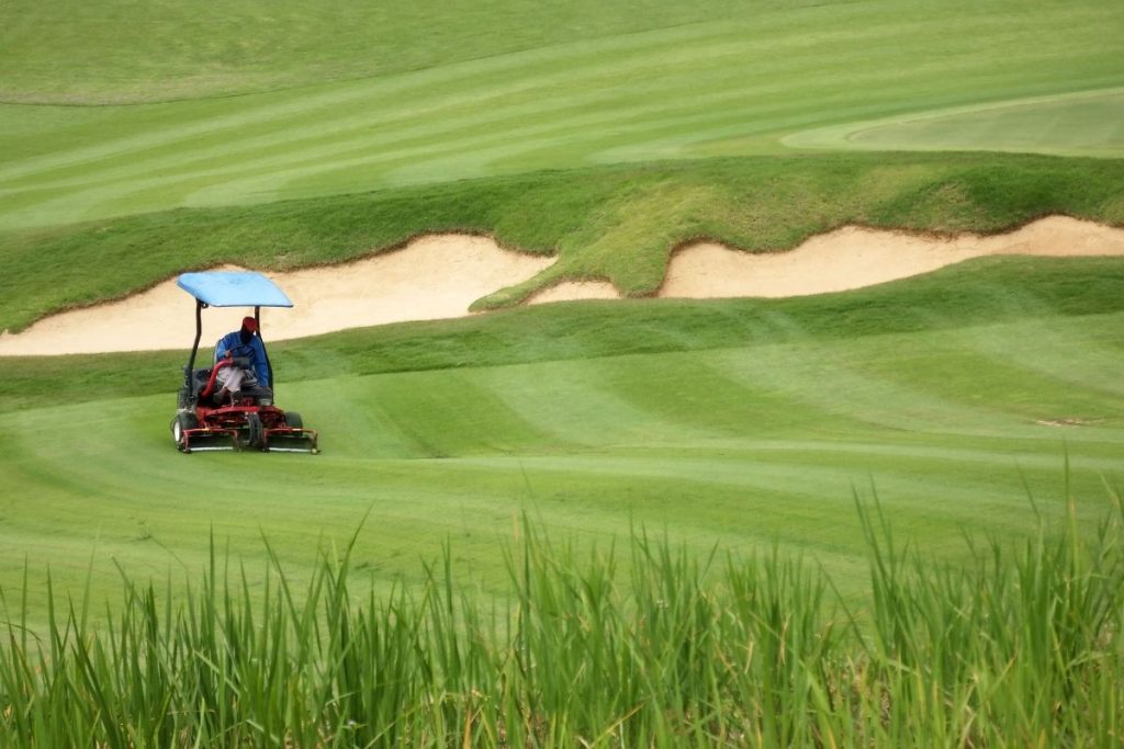 The Use and Maintenance of Turf Products