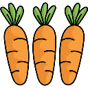 Organic Carrot