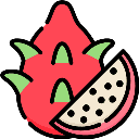 Fresh Dragon Fruit